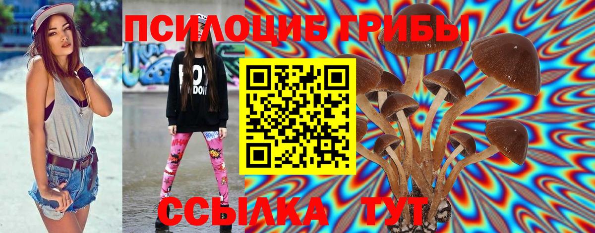 Псилоцибиновые грибы Magic Shrooms  Галлюциногенные грибы мицелий  Вход с VPN  Апатиты 